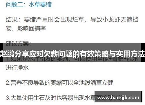 赵鹏分享应对欠薪问题的有效策略与实用方法