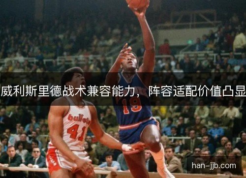 威利斯里德战术兼容能力，阵容适配价值凸显